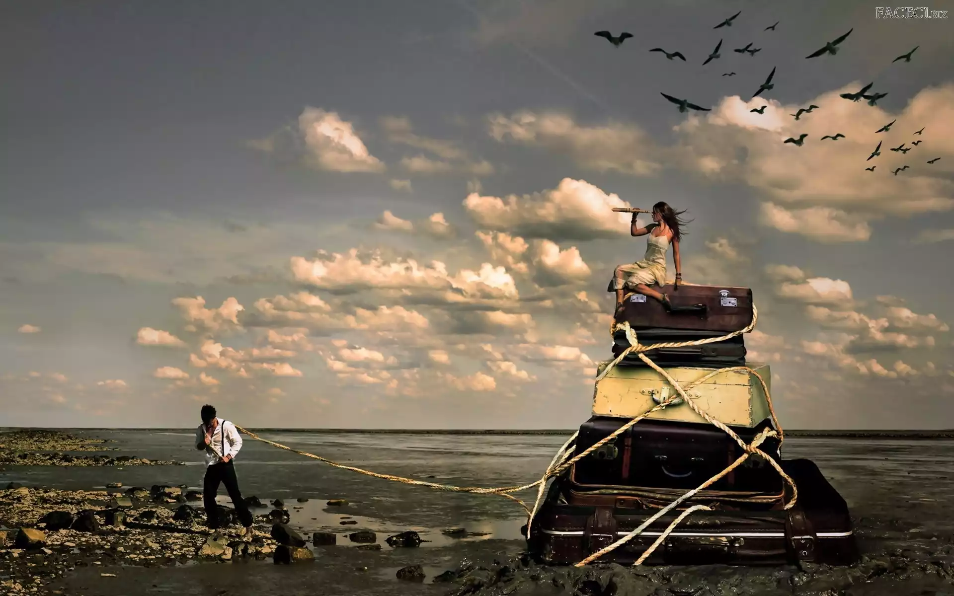 Morzem, Plaża, Kobieta, Nad, Urlop, Bagaże, Mężczyzna, Ptaki