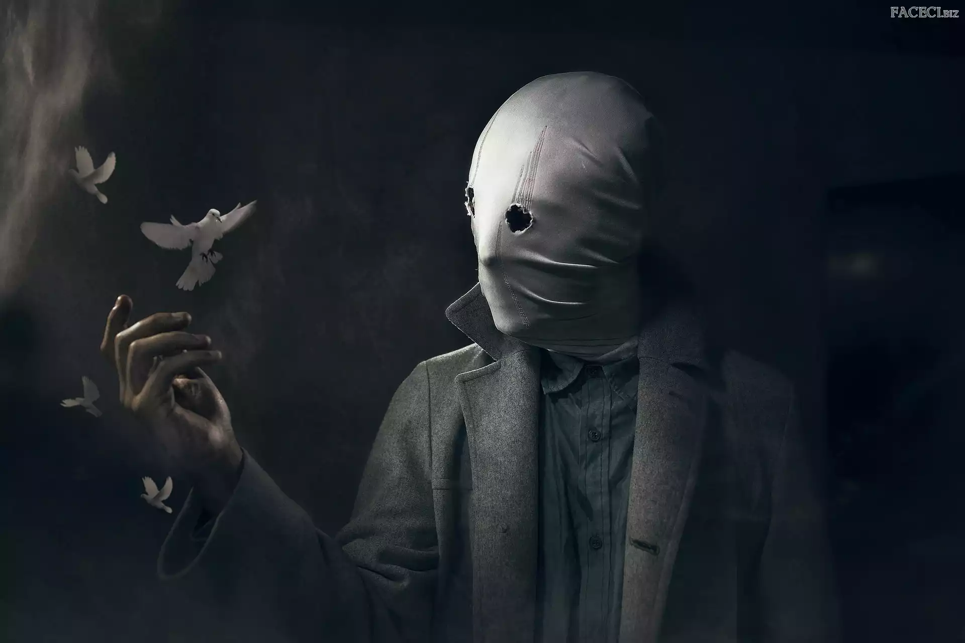 Tło czarne, Gołębie, Maska, Człowiek, Ptaki